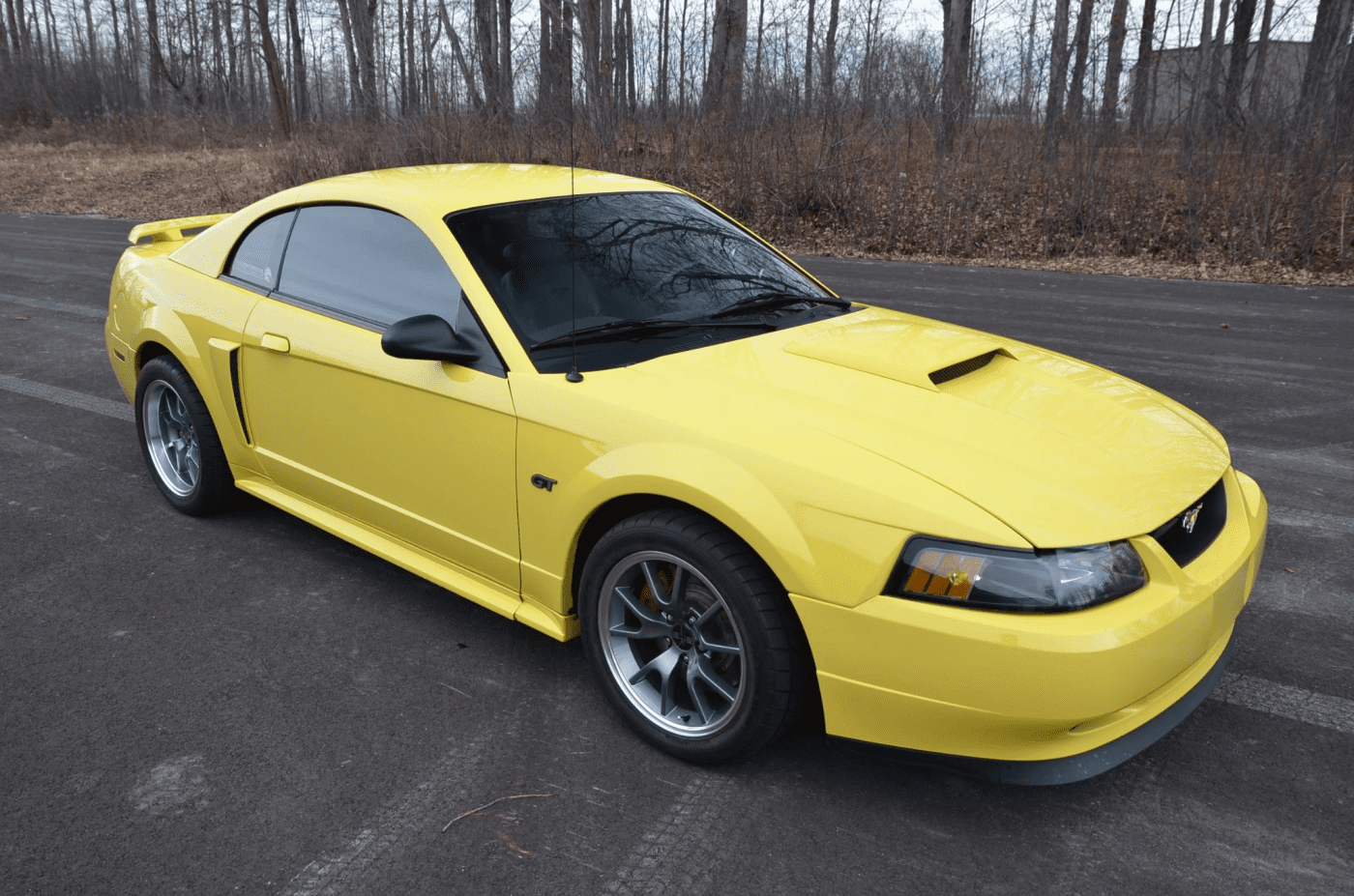 Mustang Of The Day: 2001 Ford Mustang GT - Mustang Specs