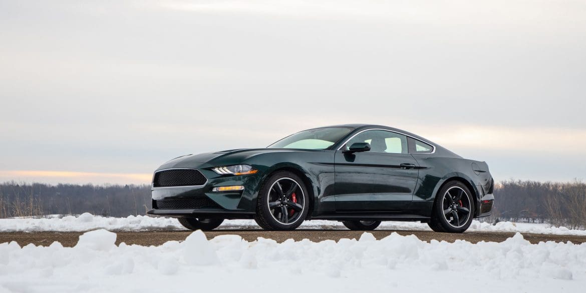 mustang in the snow